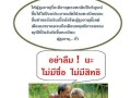 คู่มือการปฏิบัติงานเบี้ยยังชีพ Image 5