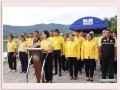 โครงการ จัดหาพันธุ์สัตว์น้ำ เพื่อเพิ่มผลผลิต ... Image 4