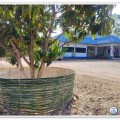 🌿 อบต.แม่วะ รวมพลังรักษ์โลก! ปูพรม "สานเสวียน" รอบสำนักงาน ... Image 1