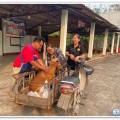 📣 ประชาสัมพันธ์การฉีดวัคซีนป้องกันโรคพิษสุนัขบ้า ... Image 1