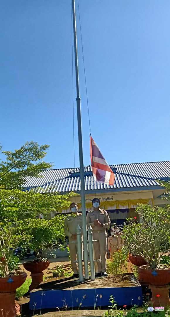 270259.jpg