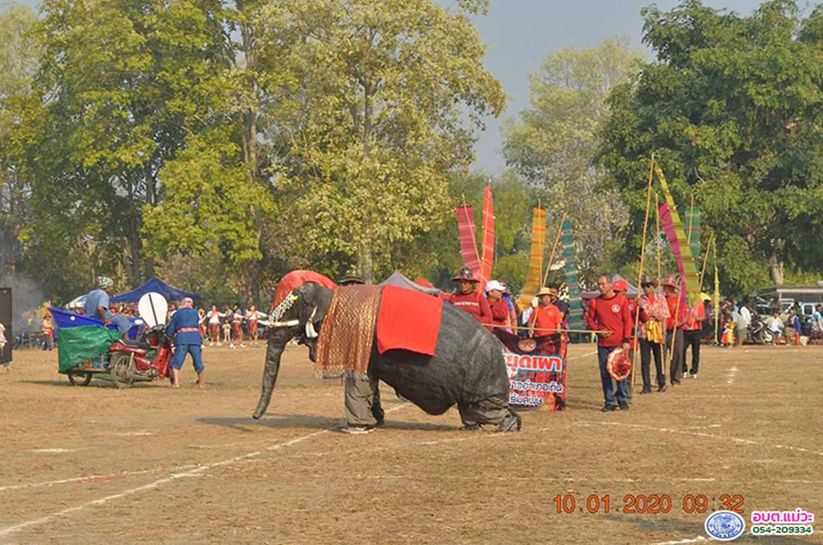 46419.jpg