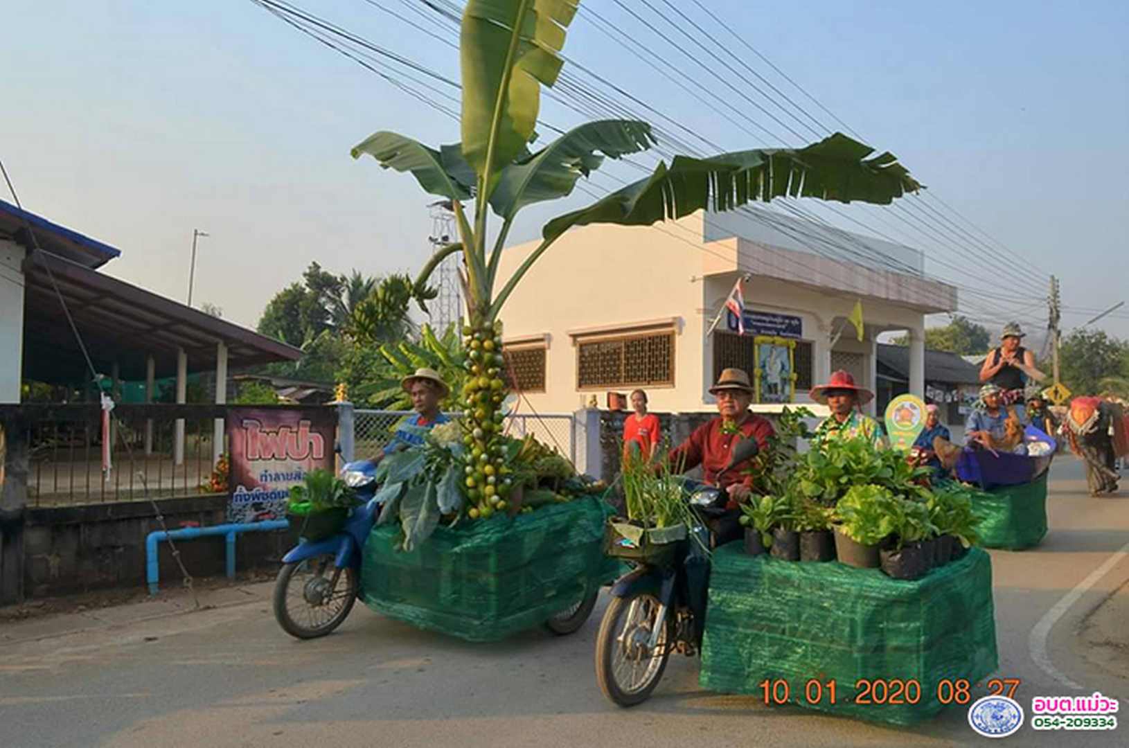 46432.jpg