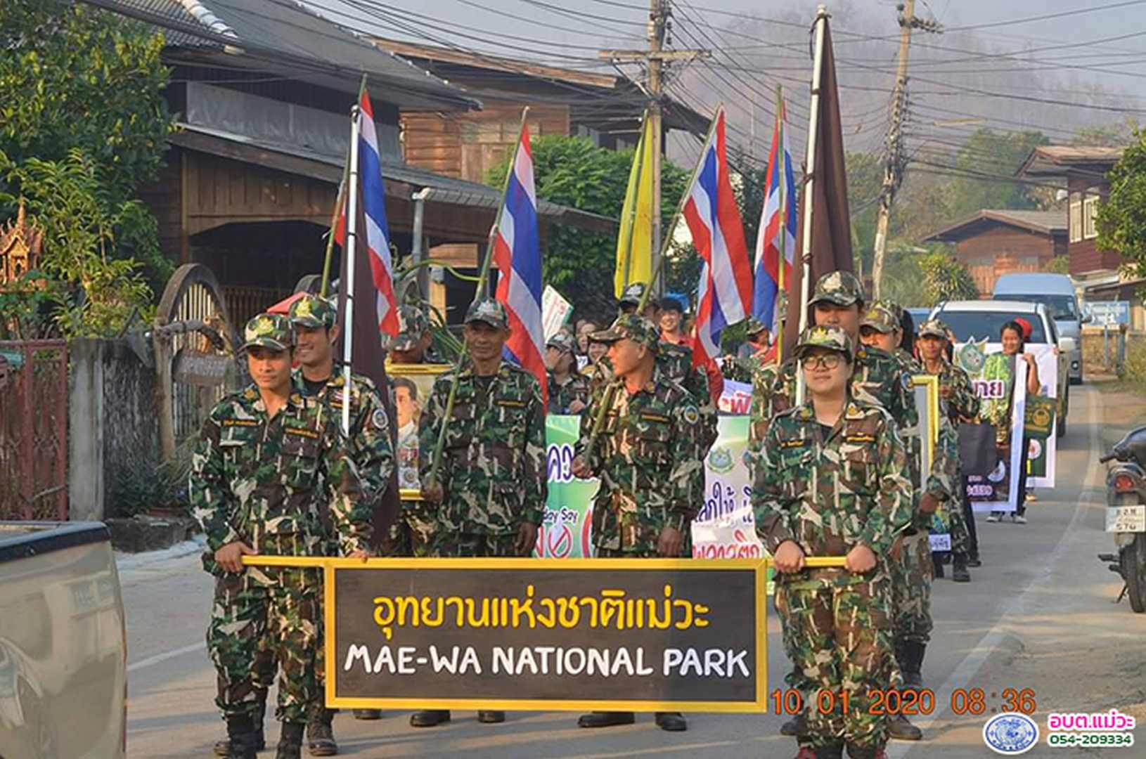 46444.jpg