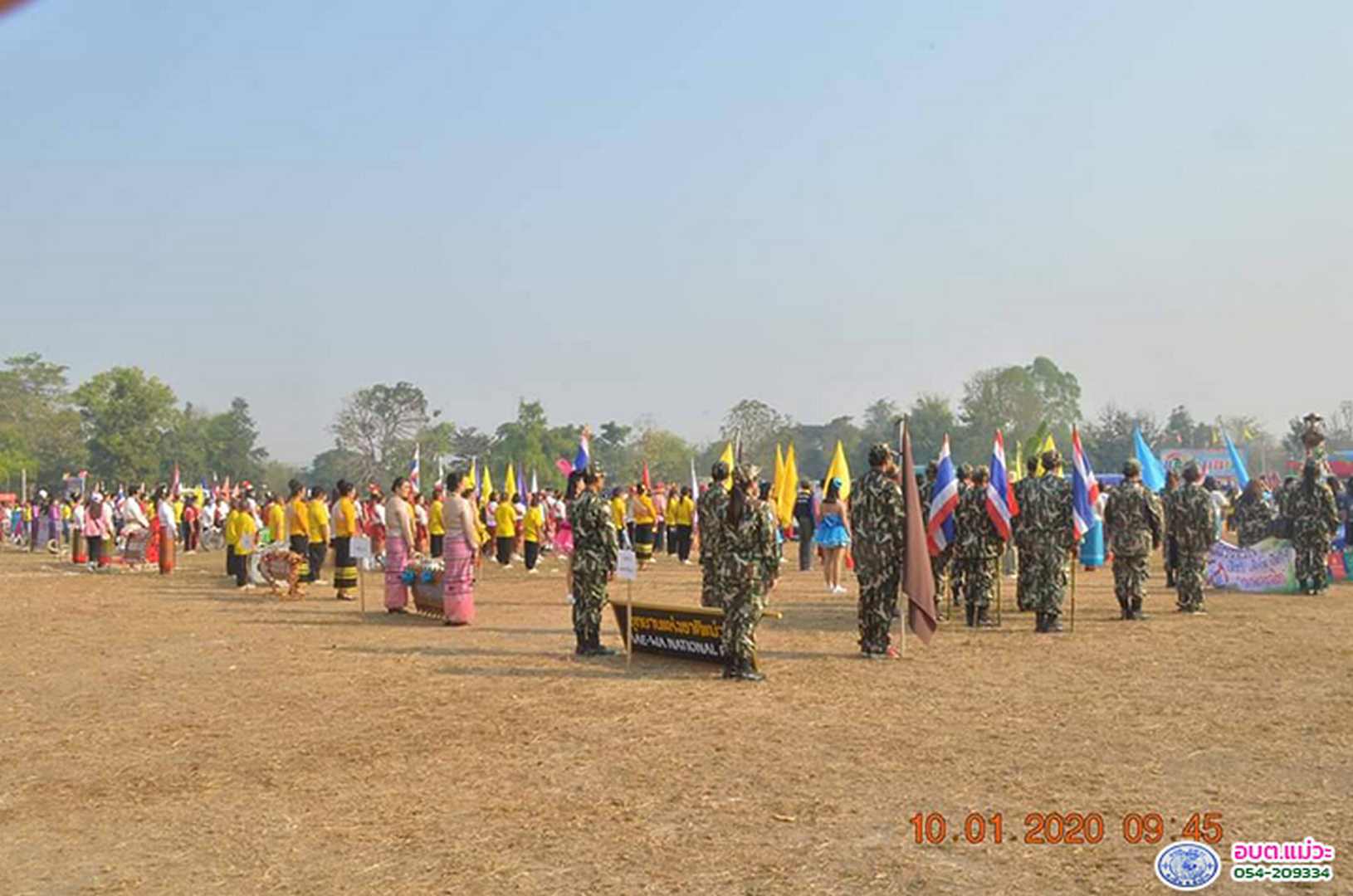 46449.jpg