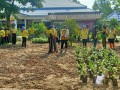 โครงการอนุรักษ์พันธุกรรมพืชอันเนื่องมาจากพระราชดำริฯ ... Image 13