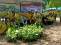 โครงการอนุรักษ์พันธุกรรมพืชอันเนื่องมาจากพระราชดำริฯ ... Image 14