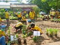 โครงการอนุรักษ์พันธุกรรมพืชอันเนื่องมาจากพระราชดำริฯ ... Image 17