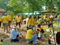 โครงการอนุรักษ์พันธุกรรมพืชอันเนื่องมาจากพระราชดำริฯ ... Image 18