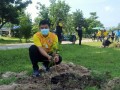 โครงการอนุรักษ์พันธุกรรมพืชอันเนื่องมาจากพระราชดำริฯ ... Image 25
