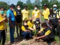โครงการอนุรักษ์พันธุกรรมพืชอันเนื่องมาจากพระราชดำริฯ ... Image 28
