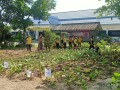 โครงการอนุรักษ์พันธุกรรมพืชอันเนื่องมาจากพระราชดำริฯ ... Image 31