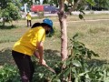 กิจกรรมเฉลิมพระเกียรติสมเด็จพระนางเจ้าฯพระบรมราชินี ... Image 8