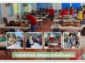 การผ่าตัดทำหมัน สุนัขและแมวในพื้นที่ตำบลแม่วะ Image 1