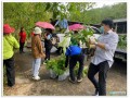 ข่าวประชาสัมพันธ์ กิจกรรมปลูกต้นไม้ ... Image 12