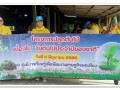 กิจกรรม/โครงการ ปลูกต้นไม้ ... Image 14