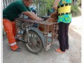 ให้บริการฉีดวัคซีนป้องกันโรคพิษสุนัขบ้าฯ 2566 Image 4
