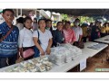 โครงการคืนธรรมชาติสู่ธรรม ปีที่ ๖ Image 8
