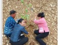 โครงการคืนธรรมชาติสู่ธรรม ปีที่ ๖ Image 9