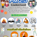 ประชาสัมพันธ์ ชวนรับมือ PM 2.5 ผู้ร้ายปกคลุมทั่วไทย Image 1