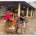 📣 ประชาสัมพันธ์การฉีดวัคซีนป้องกันโรคพิษสุนัขบ้า ... Image 1